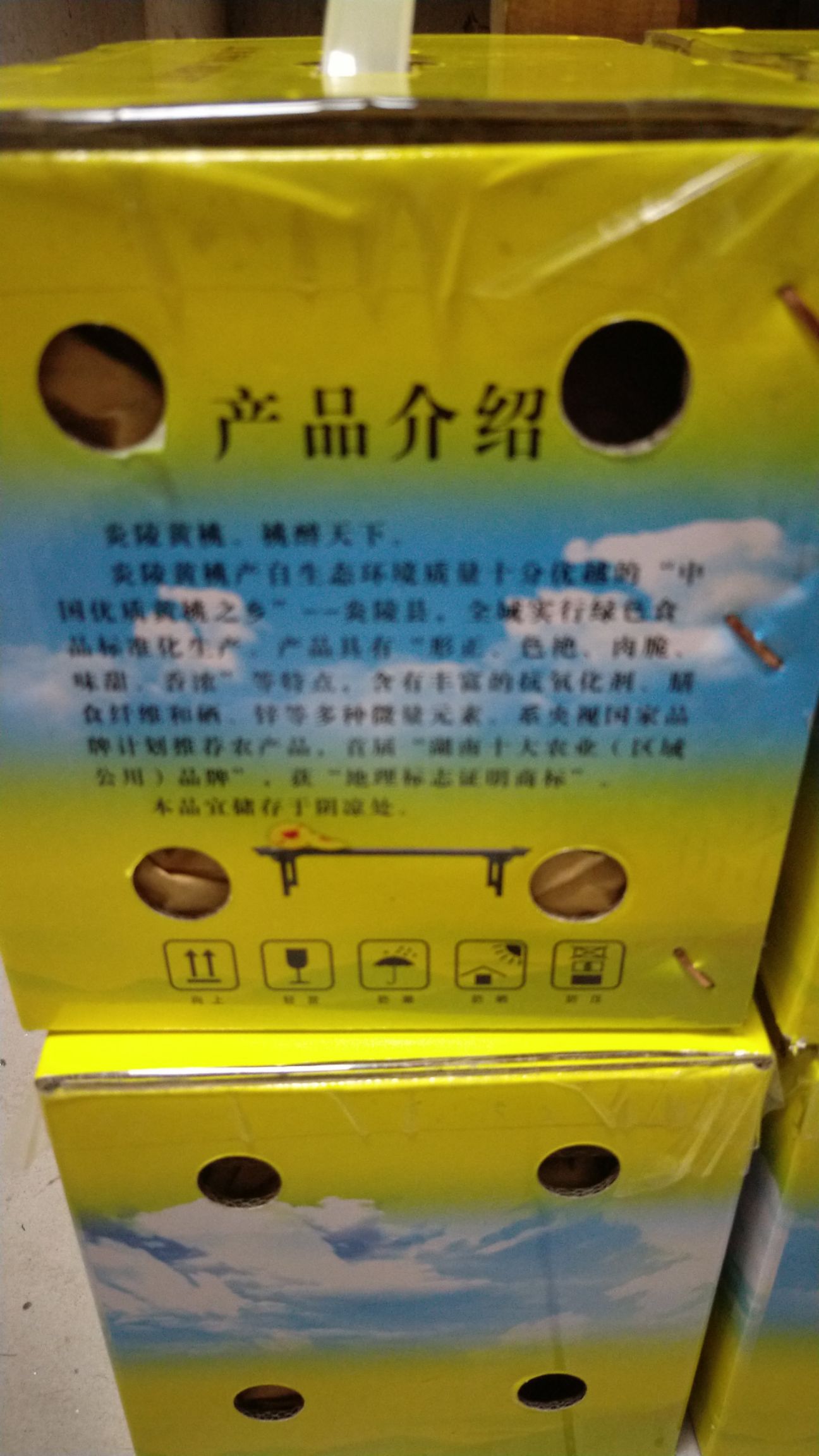 炎陵黄桃 55mm以上 4两以上 