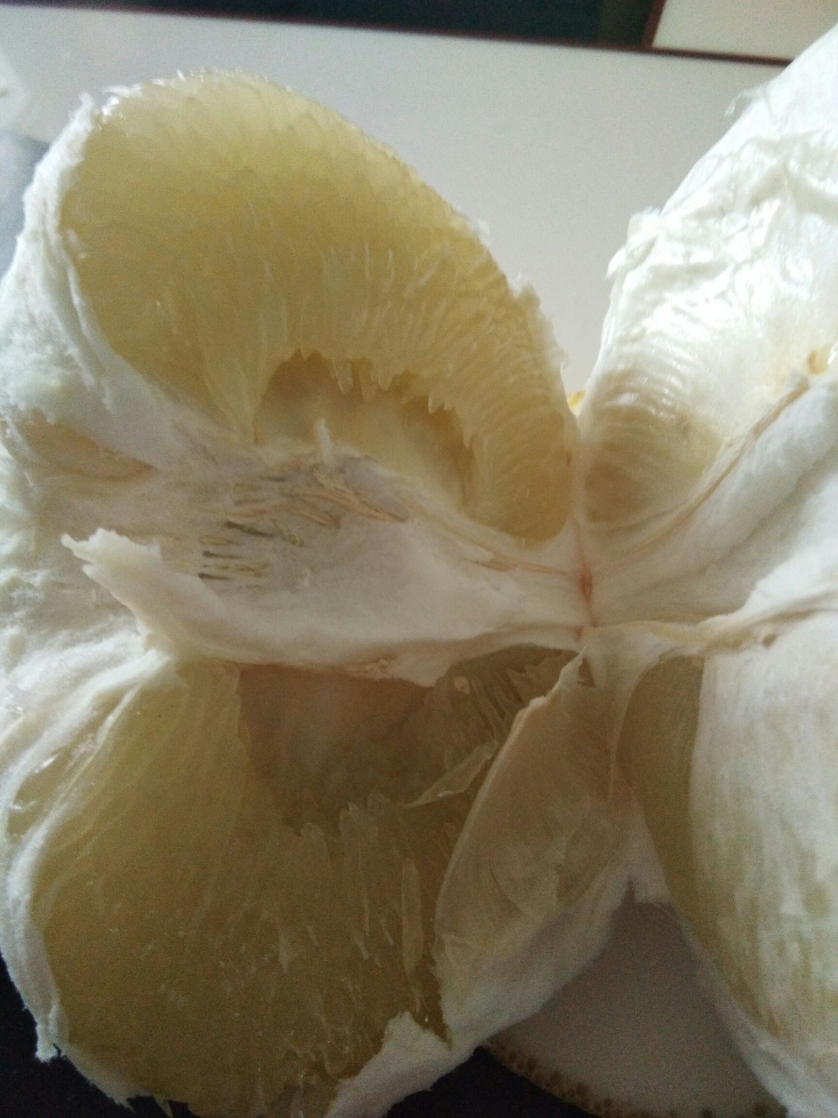 梁平柚 2斤以上 