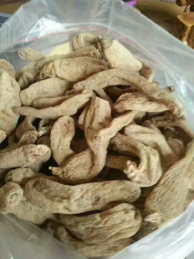 天麻 