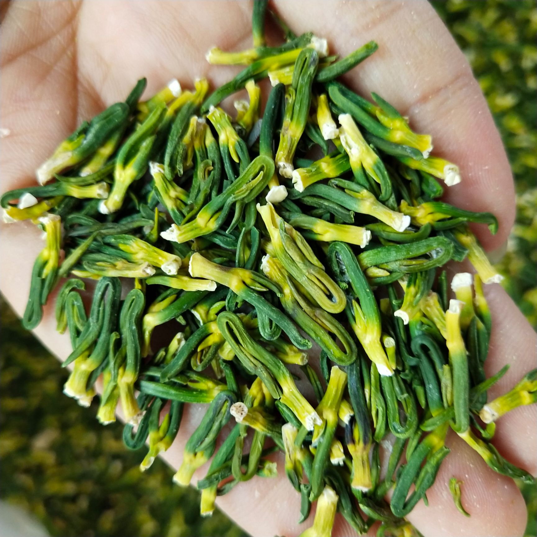 莲子心500克包邮批发莲子心茶泡水莲芯茶花草茶