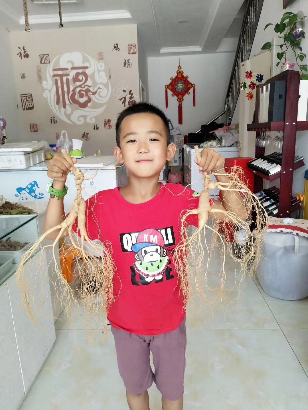 林下参人参 鲜参