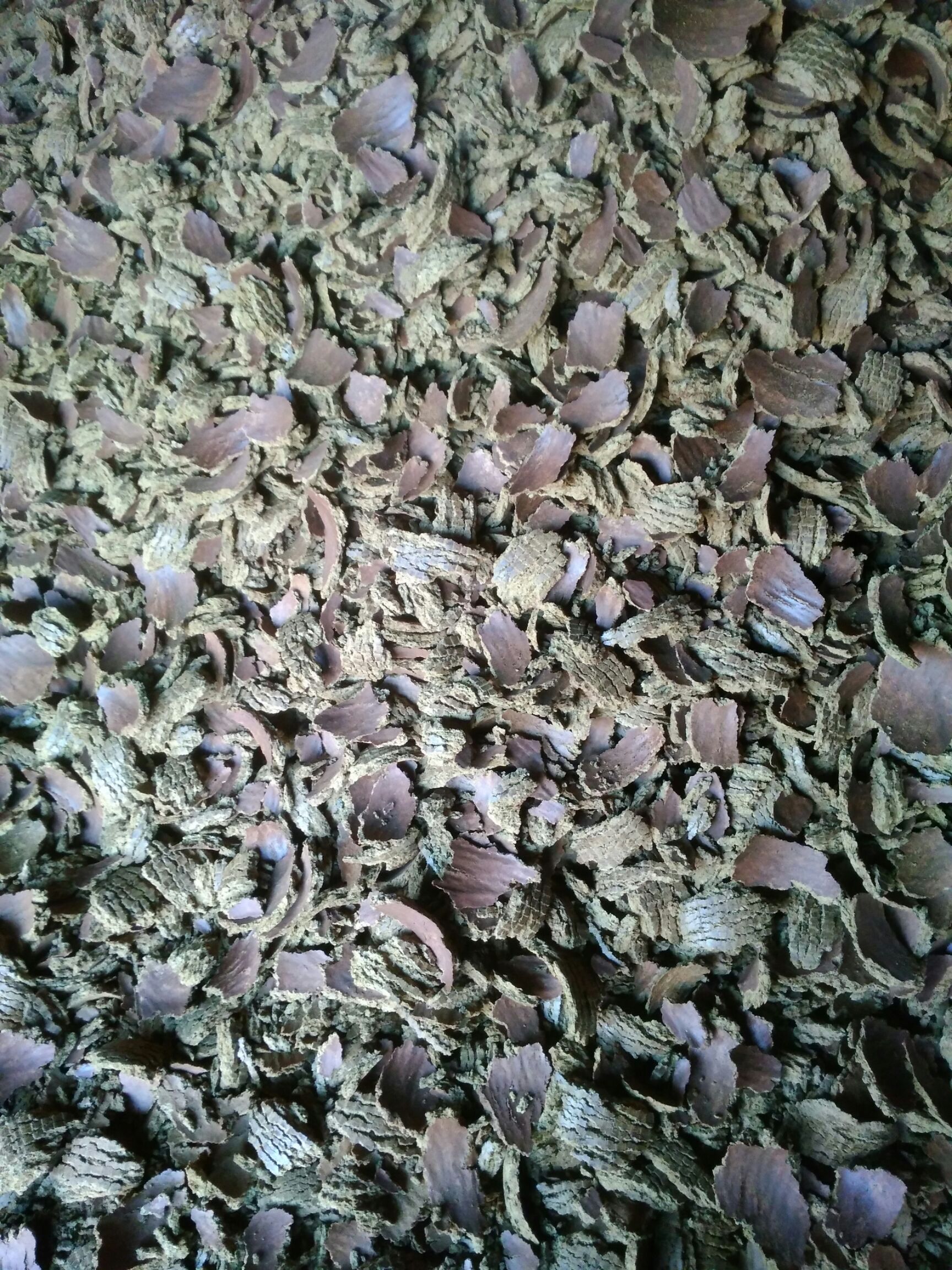 糠麸类饲料