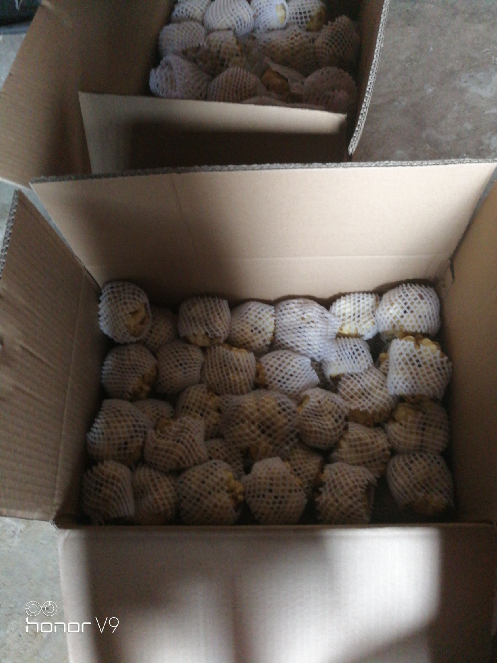  新鲜百合质量保证送货上门