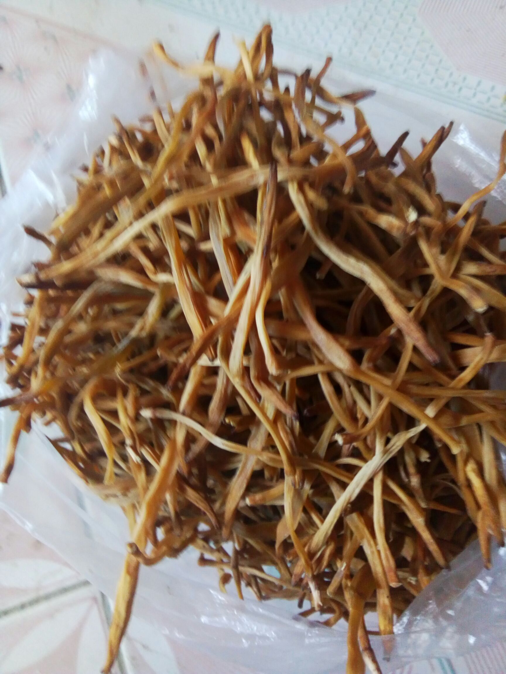 大黄花 河北省保定市顺平县