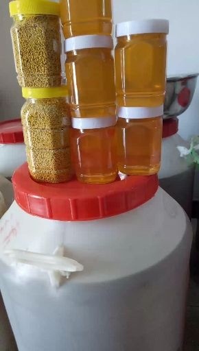 商丘土蜂蜜 塑料瓶装 98% 2年