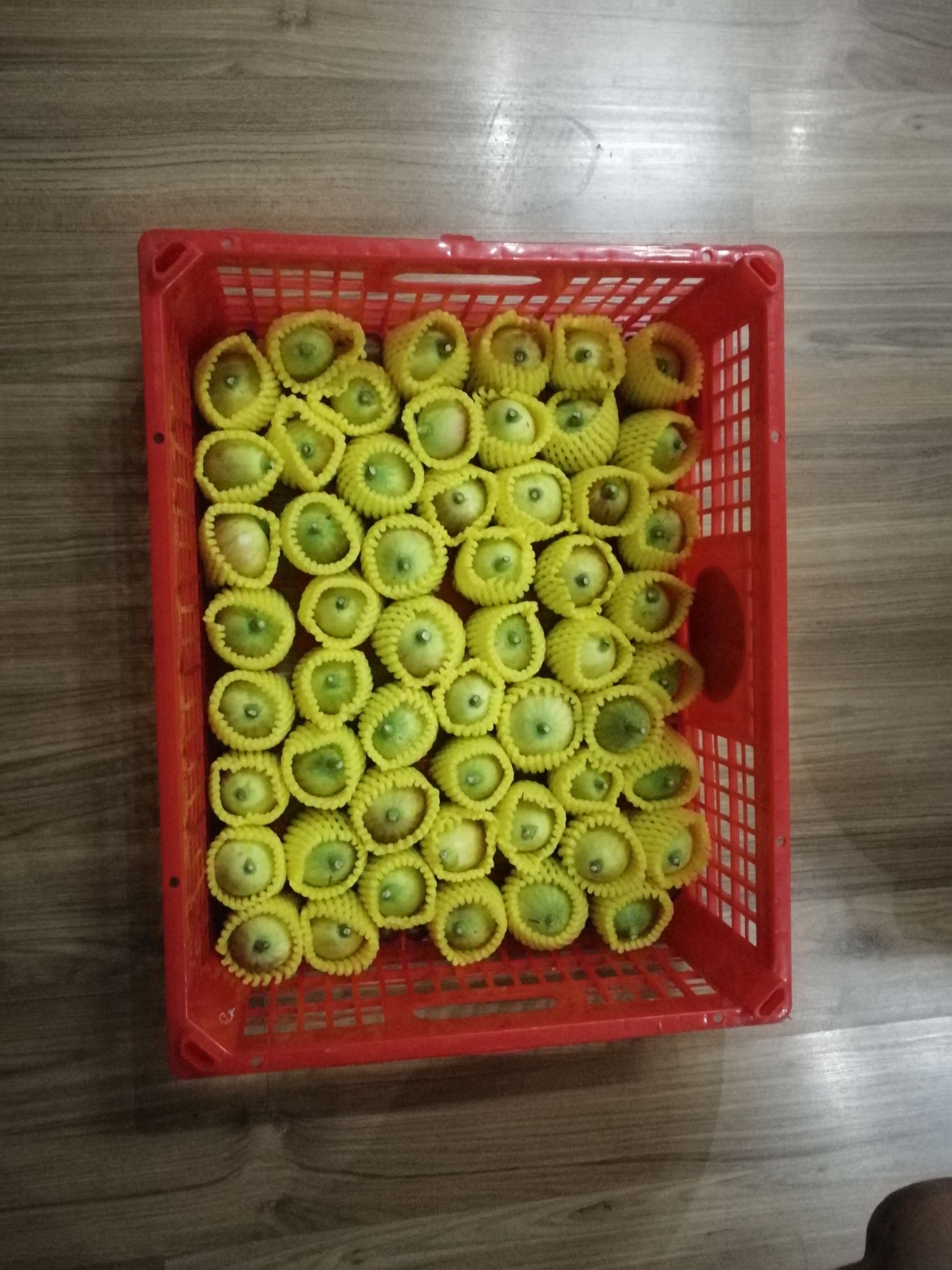 布兰瑞克无花果 50-60克