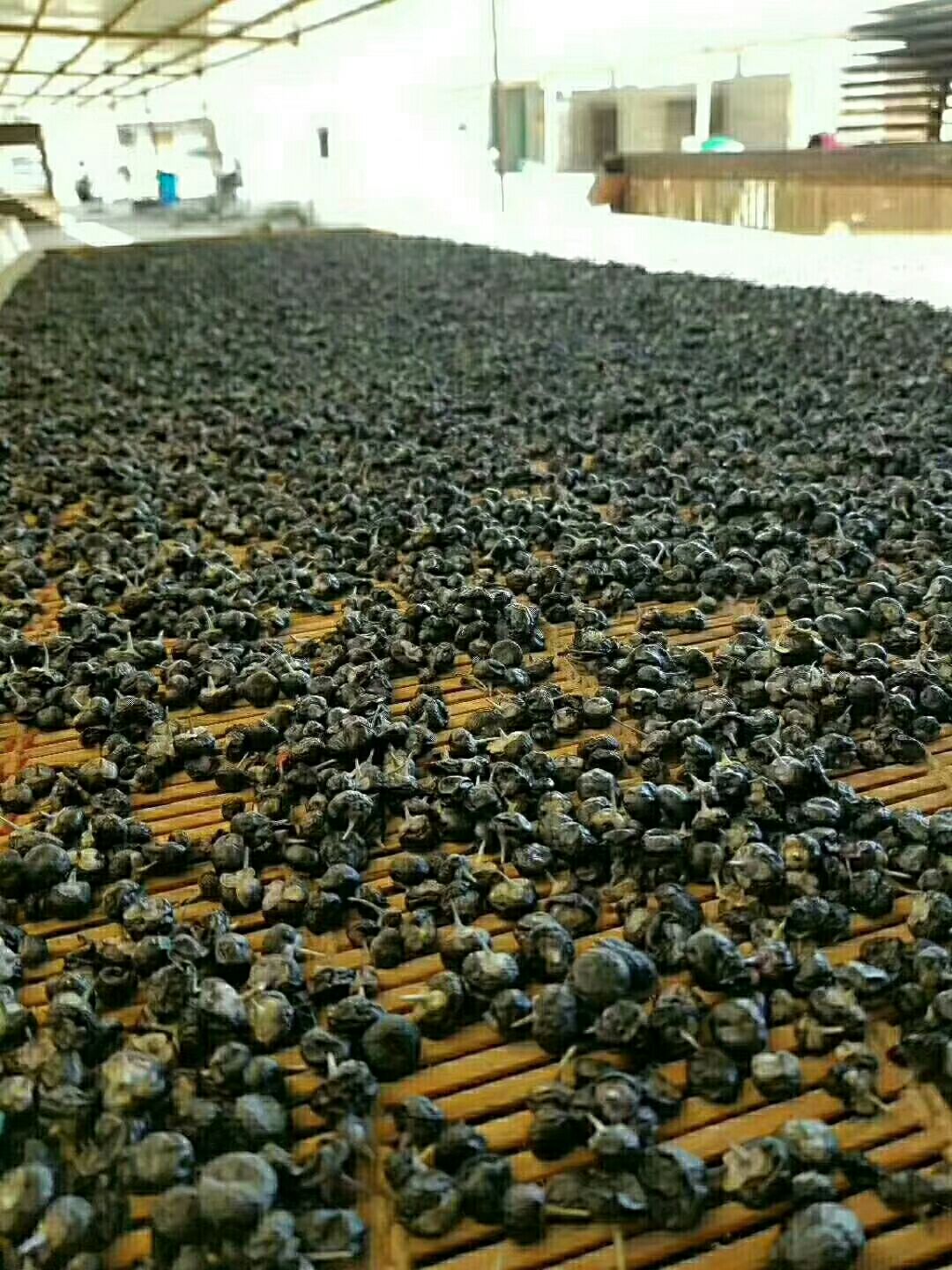  黑枸杞(包邮)农户发货