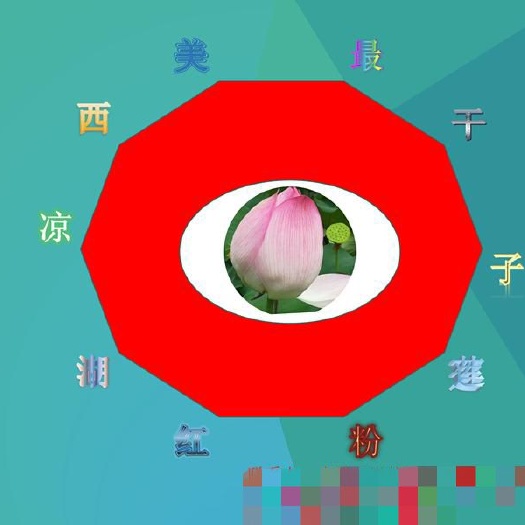 咸宁西凉湖红粉莲子干 0.8 特级 