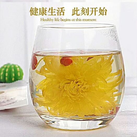 金丝皇菊花茶 礼盒装 特级