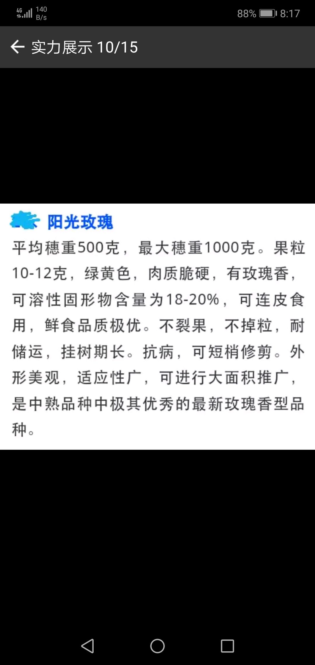 阳光玫瑰葡萄苗