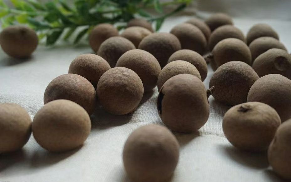 广西桂圆干 袋装 一等 带壳 