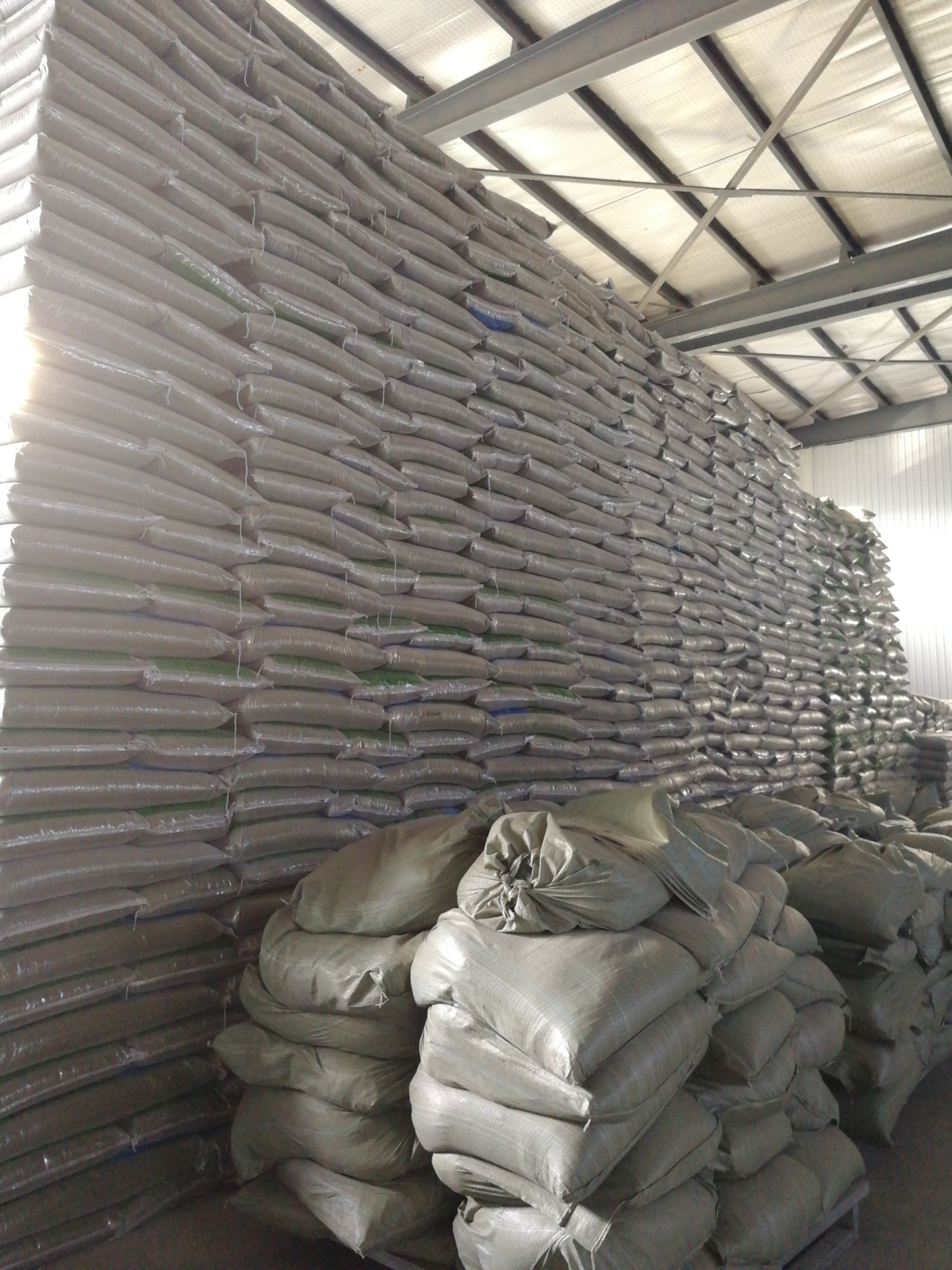 赤峰明绿豆芽豆2025 年芽苗菜专用生产厂家直销发芽率98%