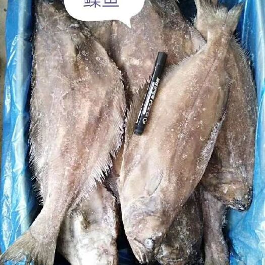 大连鲽鱼 
