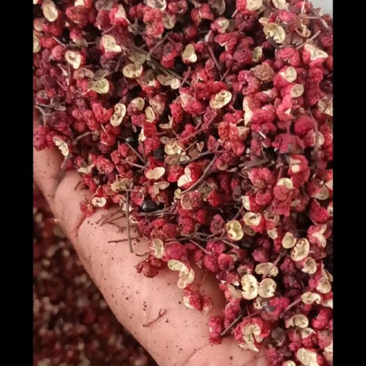陇南大红袍花椒 干花椒 特级 
