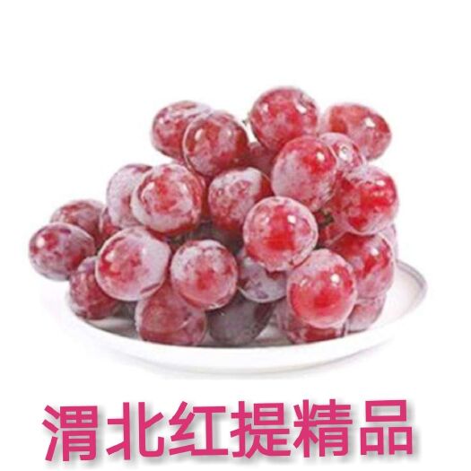 渭南冷库红提（2022)（小雨棚，色泽鸡血红，颗粒均匀，甜度高）
