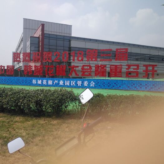 富平县 大红袍狮子头花椒苗