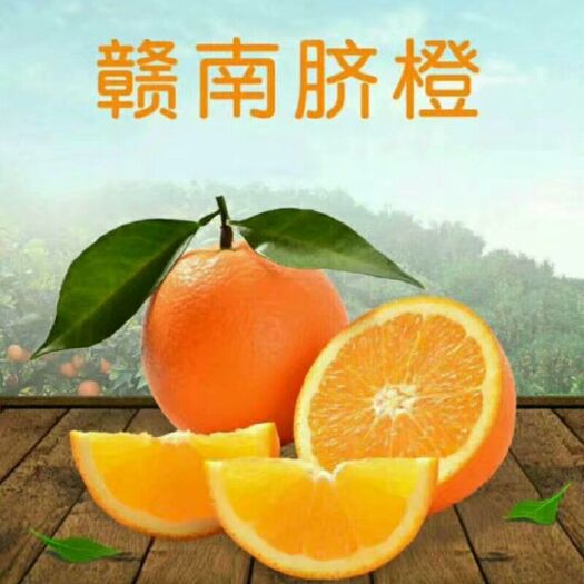 兴国县 赣南脐橙