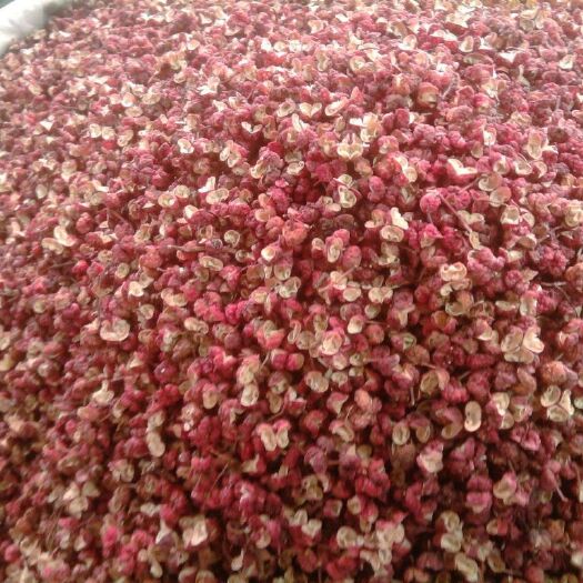 陇南大红袍花椒 花椒叶 干花椒 特级