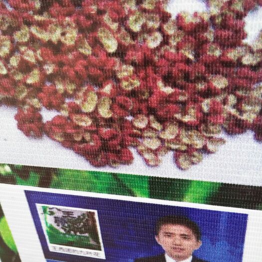 西和县陇南花椒 干花椒 一级 