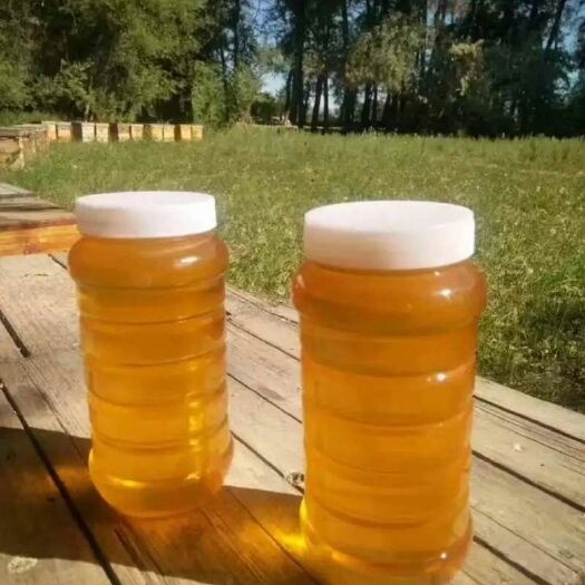 阿勒泰市百花蜜 塑料瓶装  2年