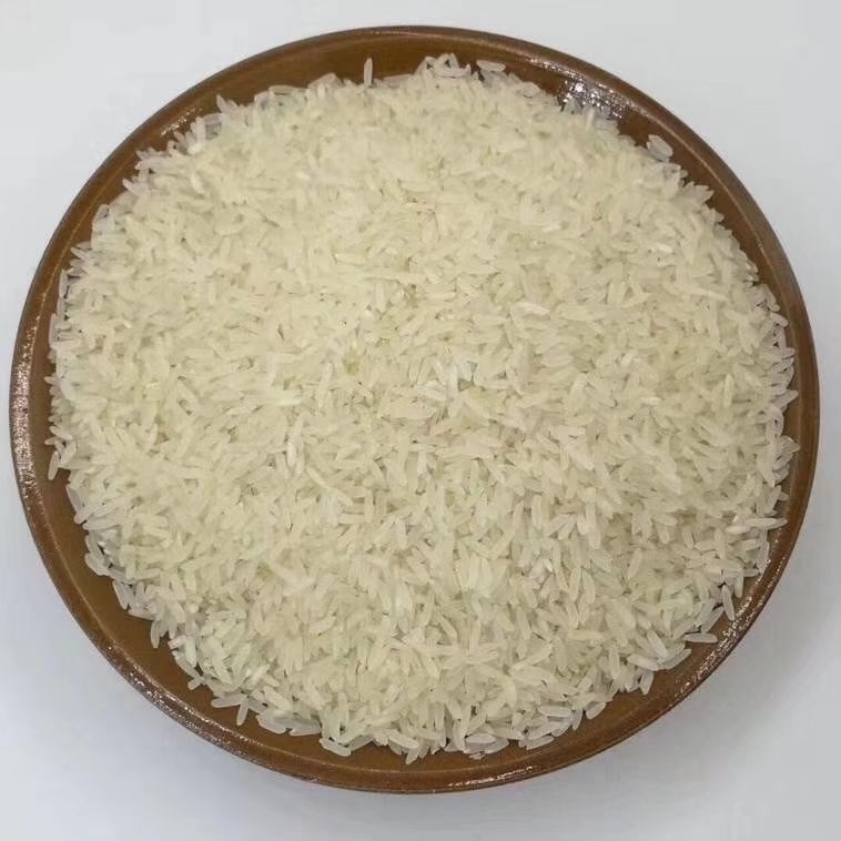 象牙香占水稻图片