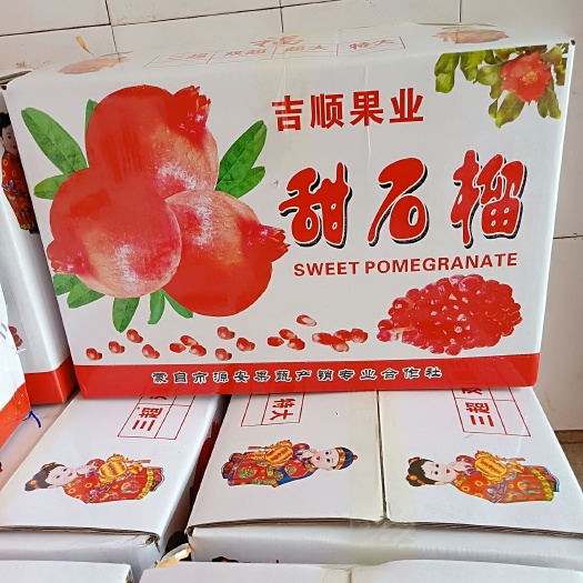 蒙自市蒙自石榴 0.6 - 0.8斤