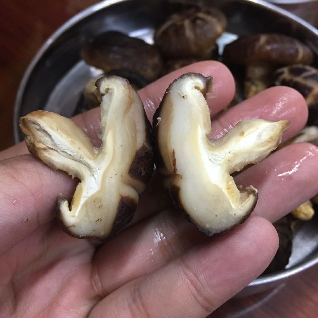 花菇干 散装 1年以上 