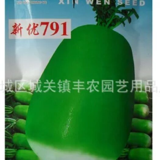 社旗县791萝卜种子 杂交