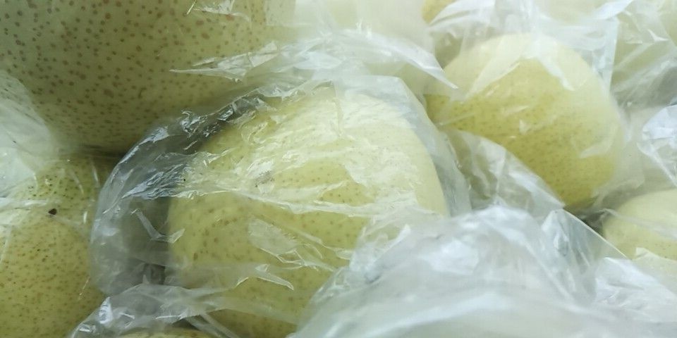 万荣县万荣 酥梨