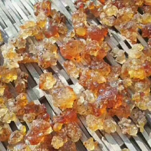 炎陵县黄桃胶 18-24个月