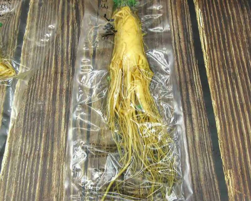  长白山大保鲜人参鲜参