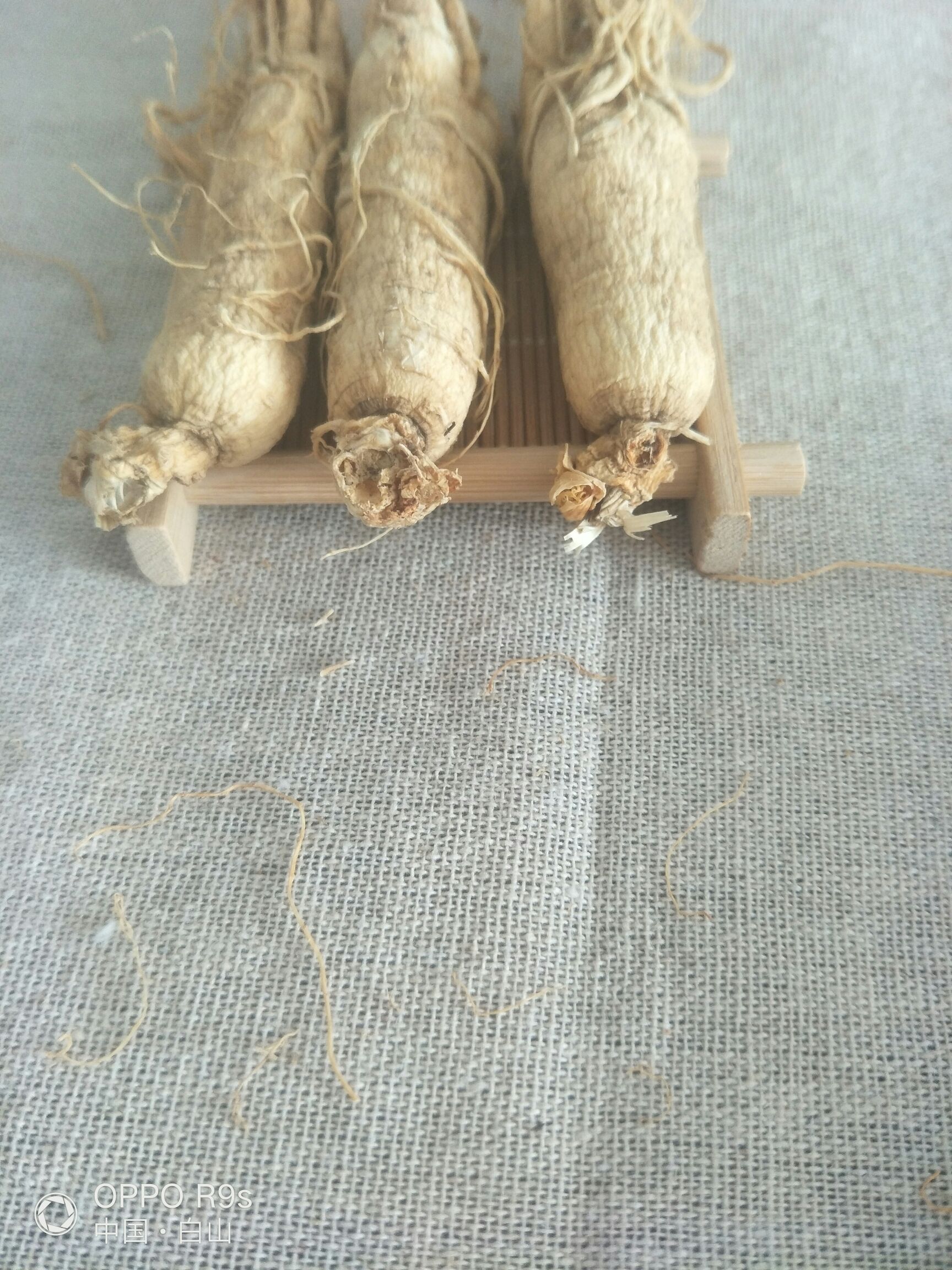 园参 全须生晒参