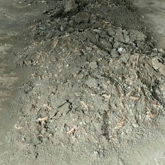 重庆市鸡粪