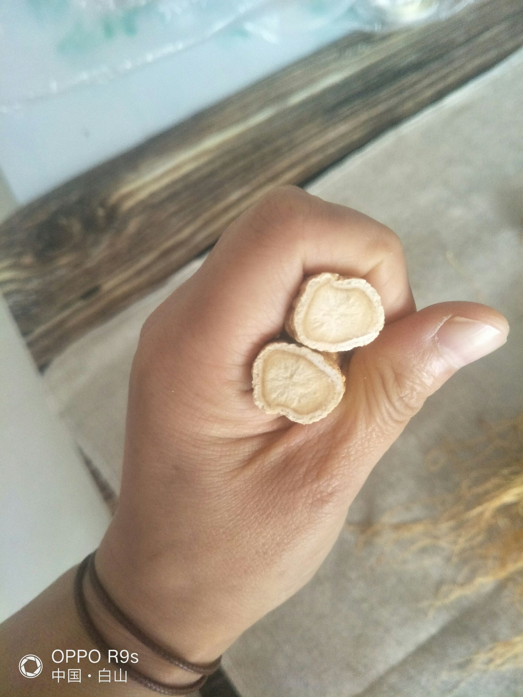 园参 全须生晒参