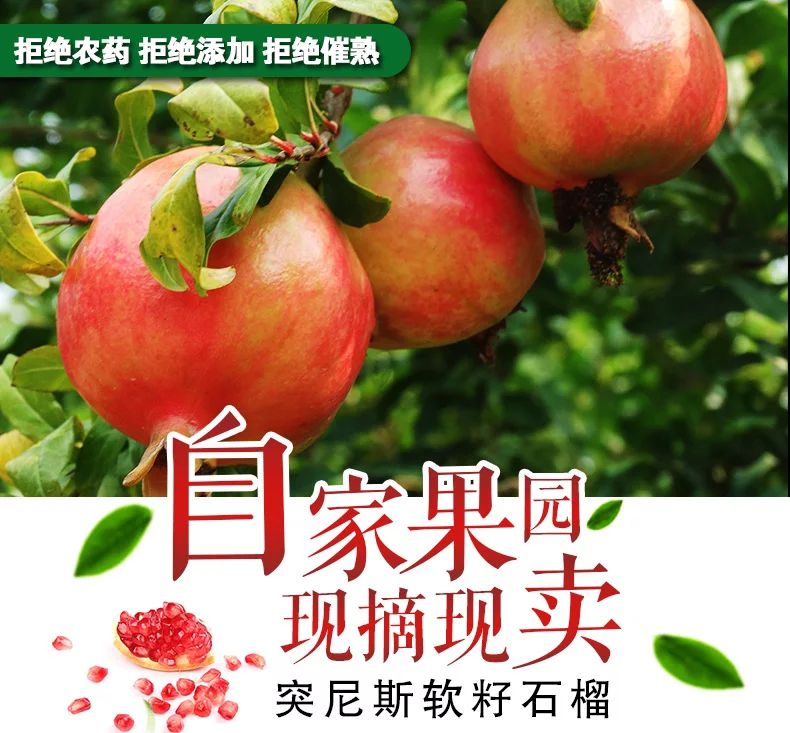 突尼斯软籽石榴 0.8 - 1斤