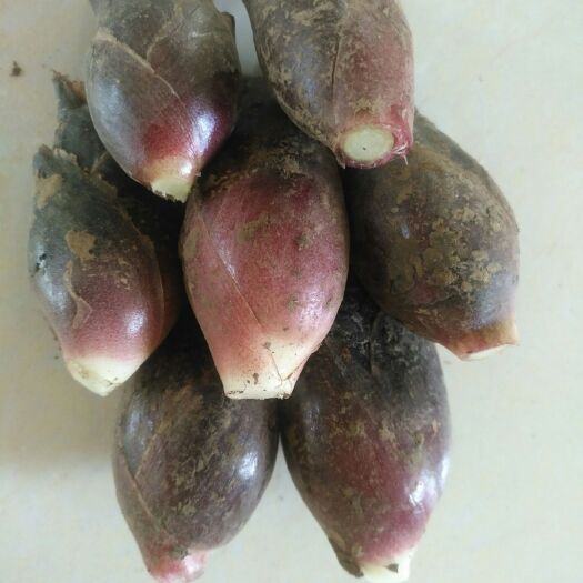 北川县阳荷 欢迎定购  24:00小时为你服务  空运包邮