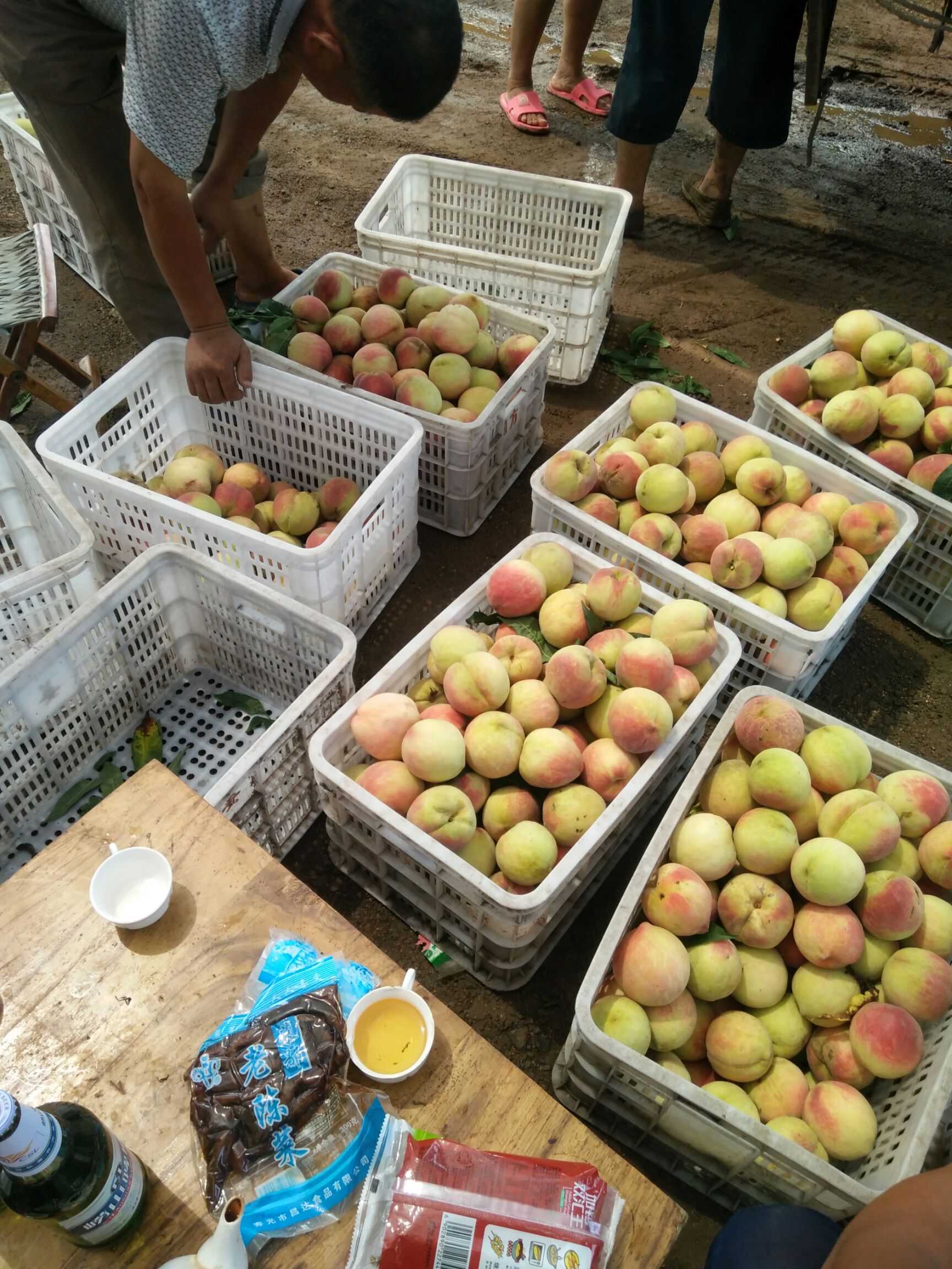 永莲蜜桃 80mm以上 4两以上