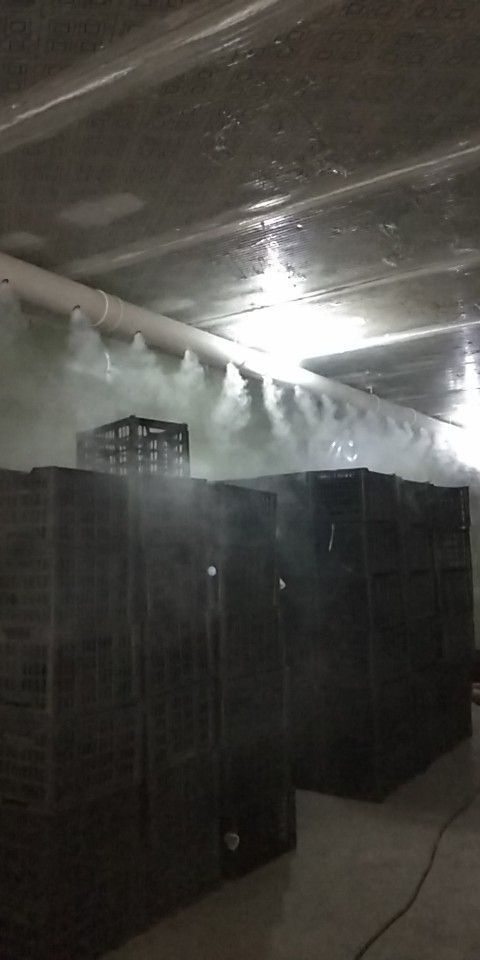 广州气调仓库租赁