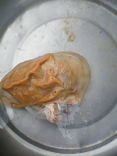 南江县猪肚 