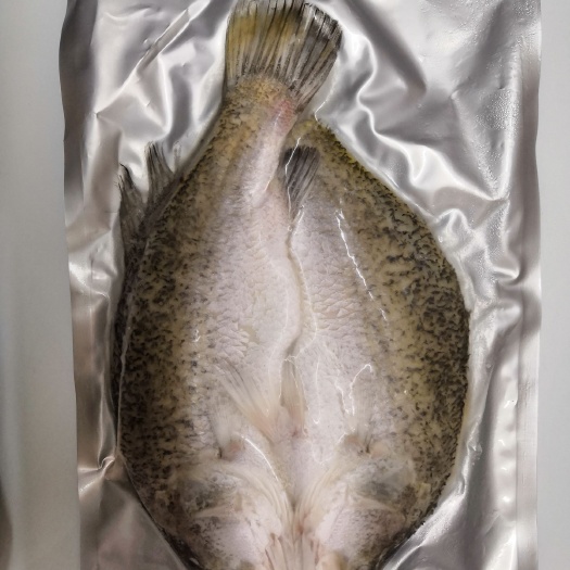 珠海鲈鱼 