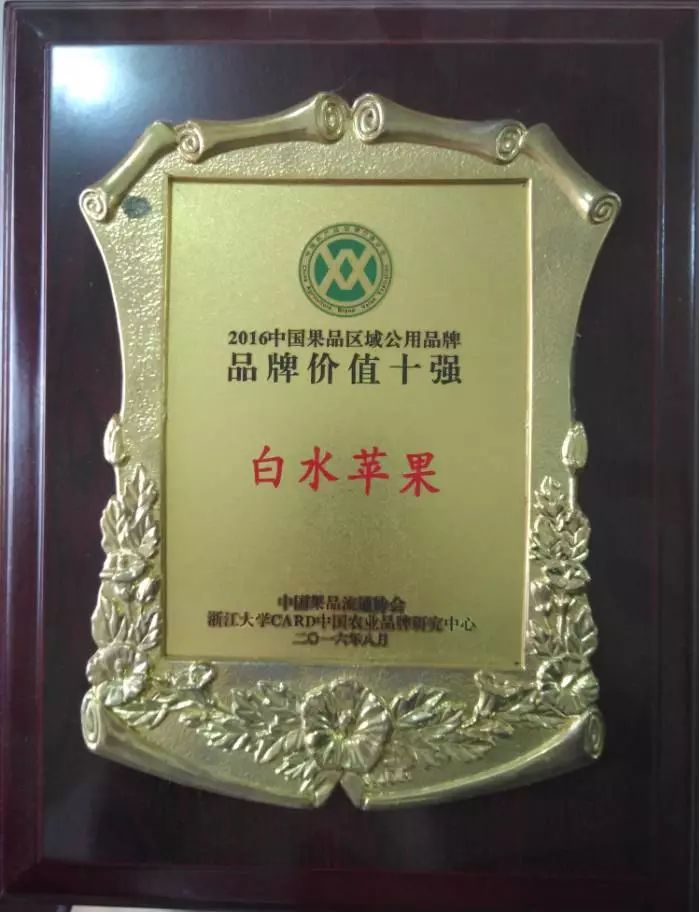 红富士苹果 80mm以上 条红 纸+膜袋