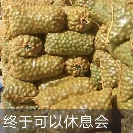 渭南鲜核桃 