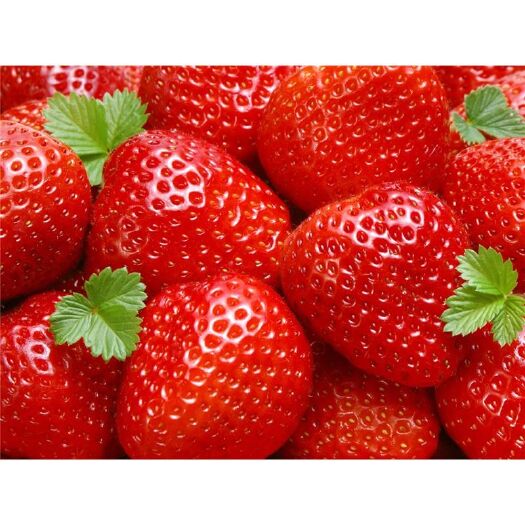 高州市草莓种子 自种自采，发芽率高，每包3000棵，送育苗+种植资料