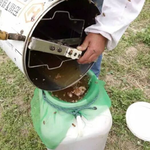 西安百花蜜  2年以上 玻璃瓶装