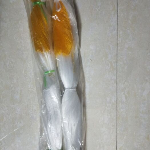 无棣县爬藤网