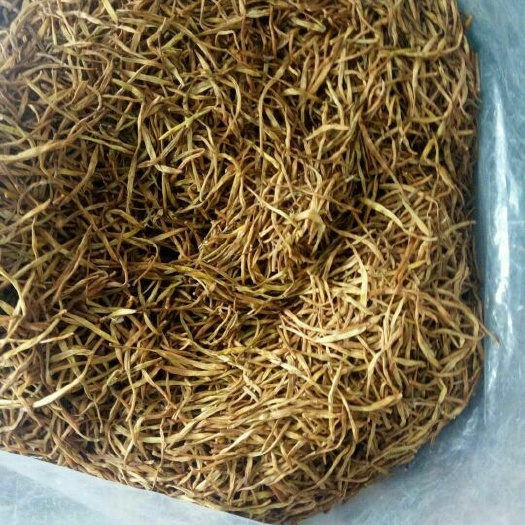 方城县大荔黄花菜 袋装 优选货