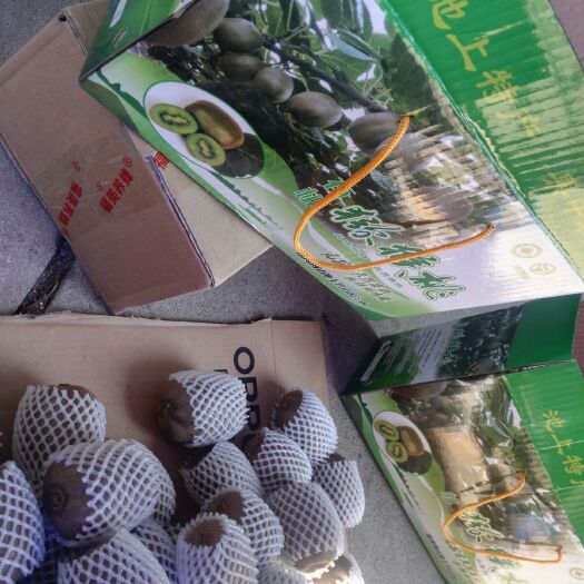 淄博徐香猕猴桃  淄博市博山区池上镇下小峰村晓杭杭种植园，供应绿心猕猴桃。