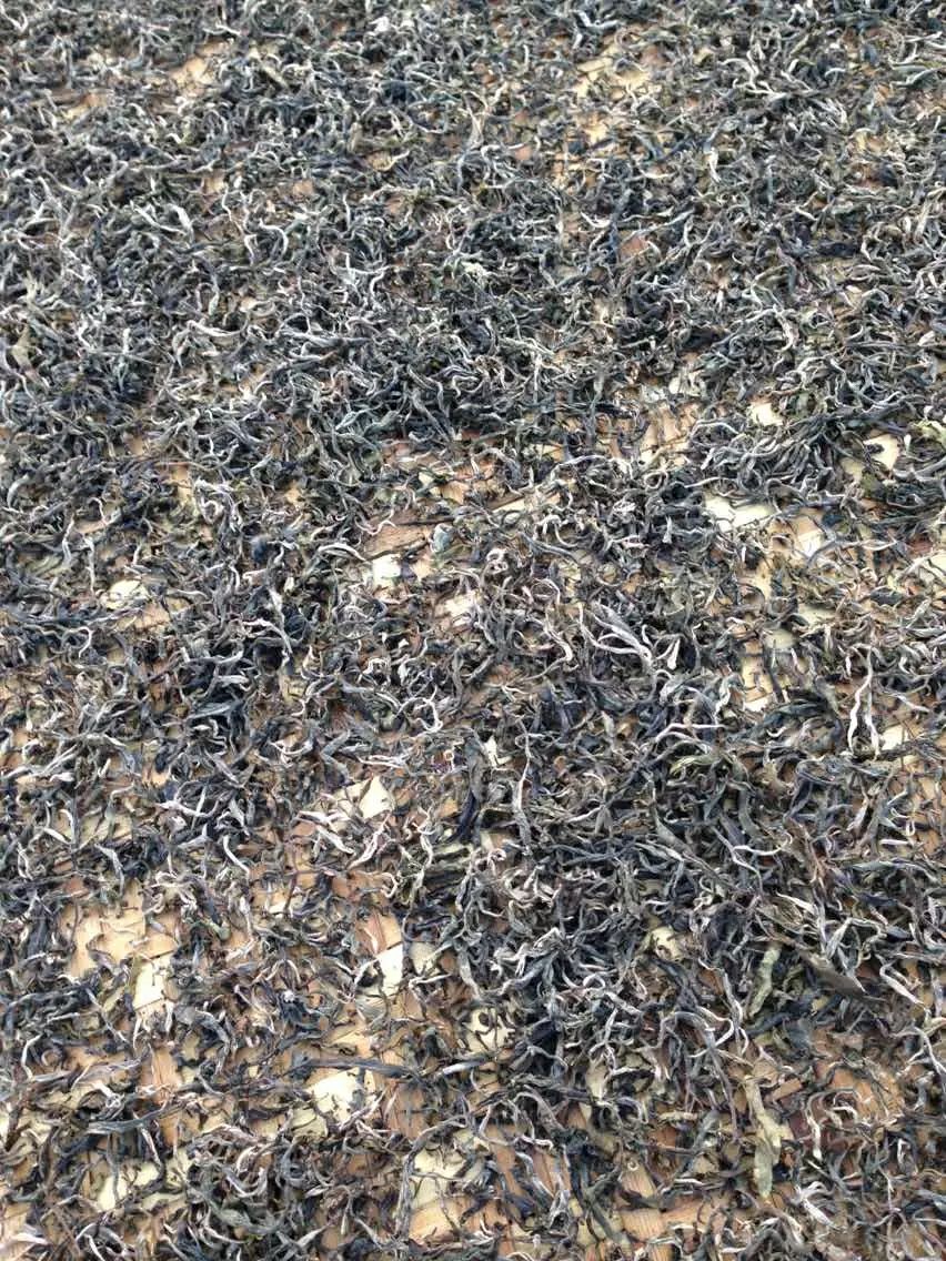 普洱生茶 散装 一级
