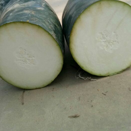 郸城县 大量供应优质黑皮冬瓜