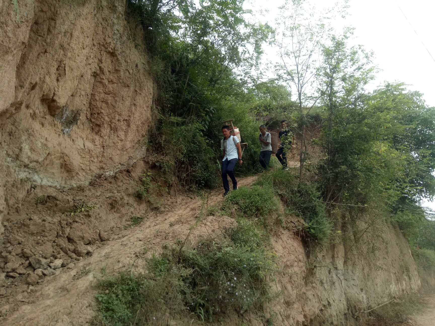 槐花蜜 塑料瓶装 95%以上 2年以上 